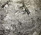 スケッチ作品 129