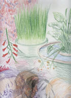 スケッチ作品 14