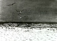 スケッチ作品 150